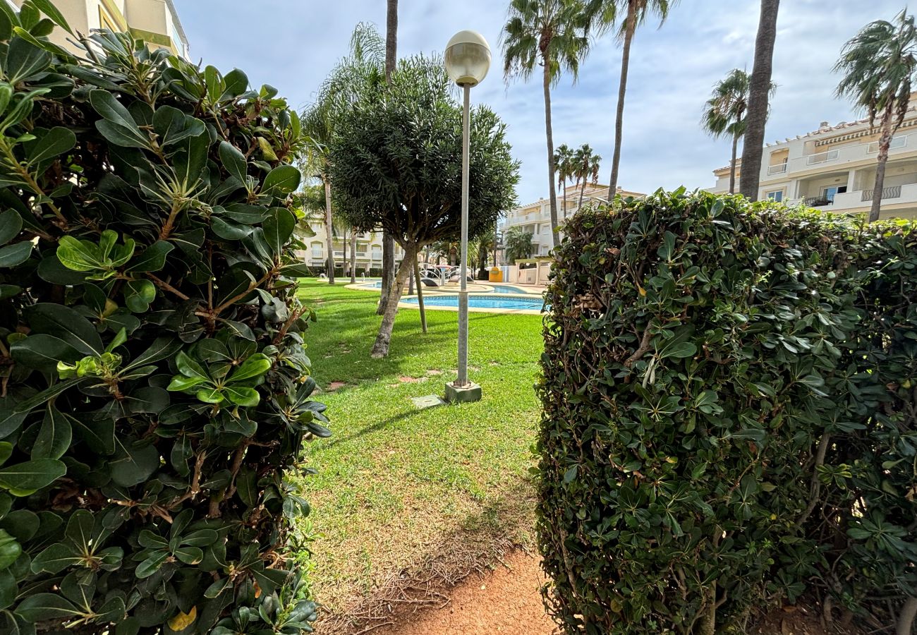 Apartamento en Denia - LA FONTANA B2