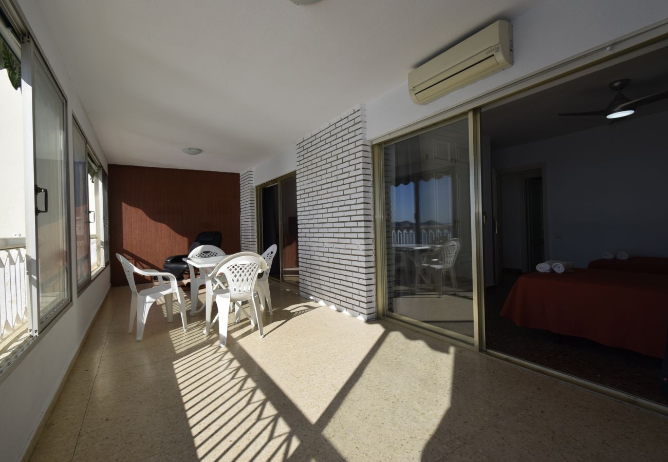 Apartment in Benidorm - TORRE PRINCIPADO 20E