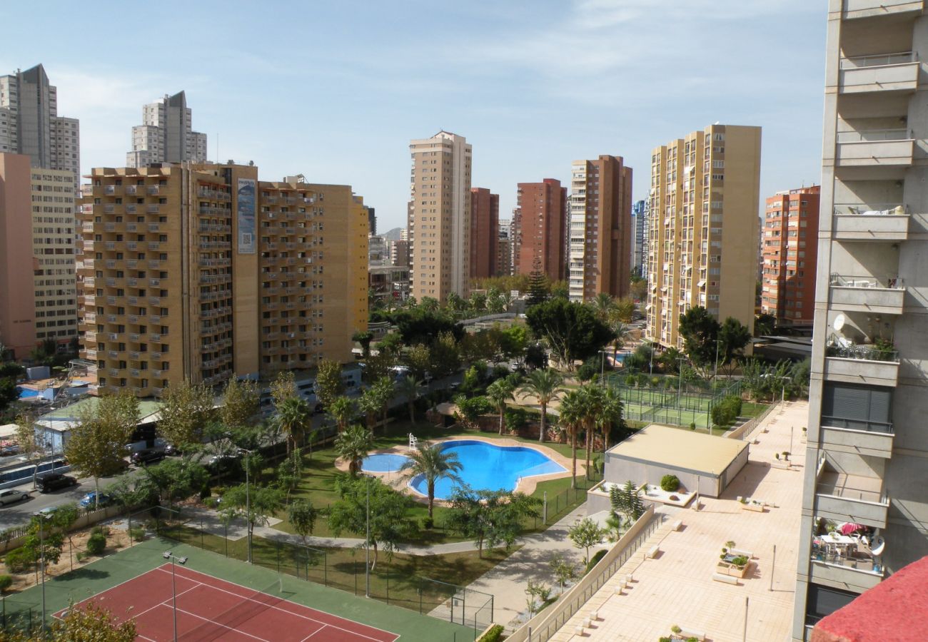 Apartment in Benidorm - GIJON 9B