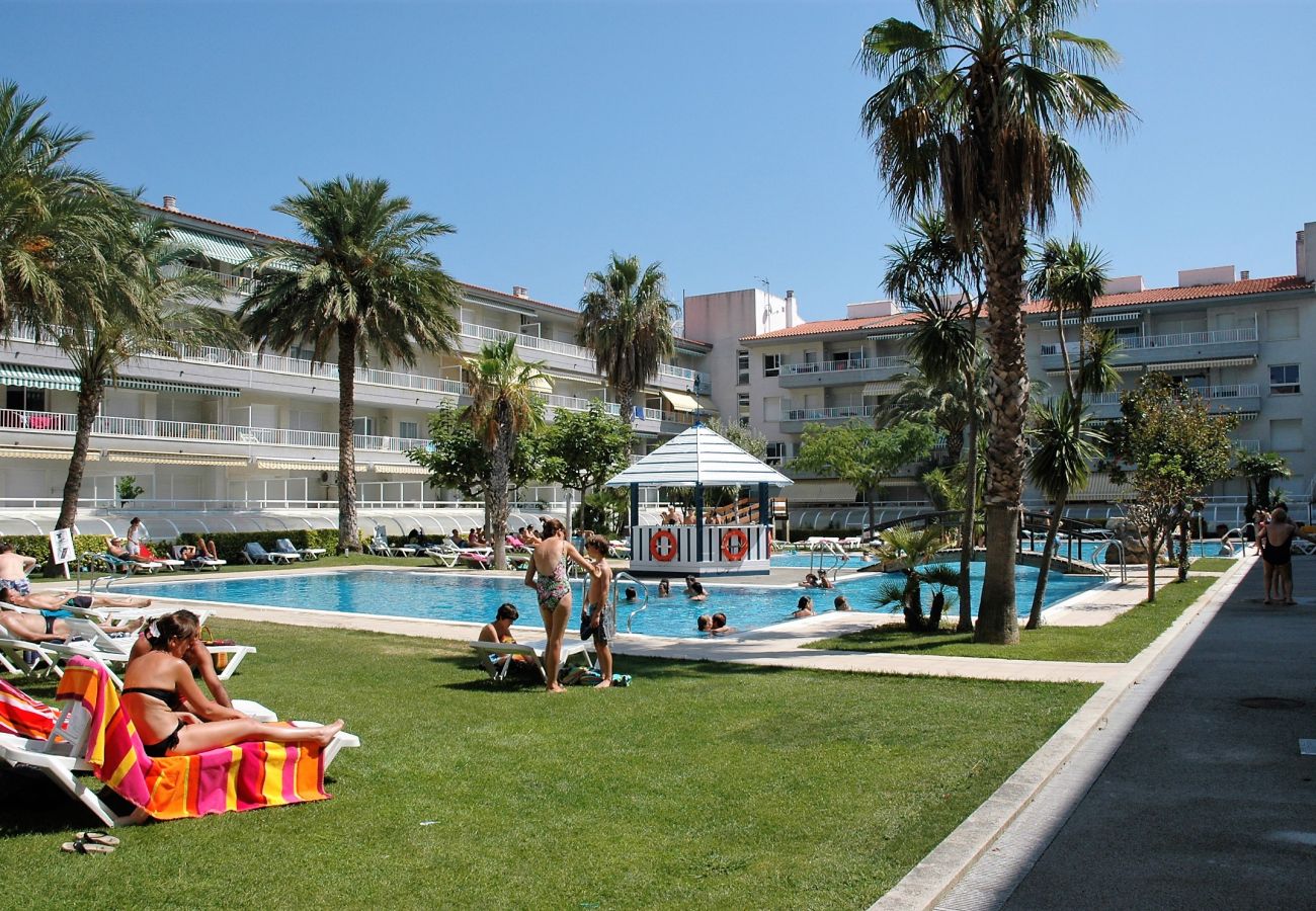 Apartment in Estartit - ILLA MAR DOR 237