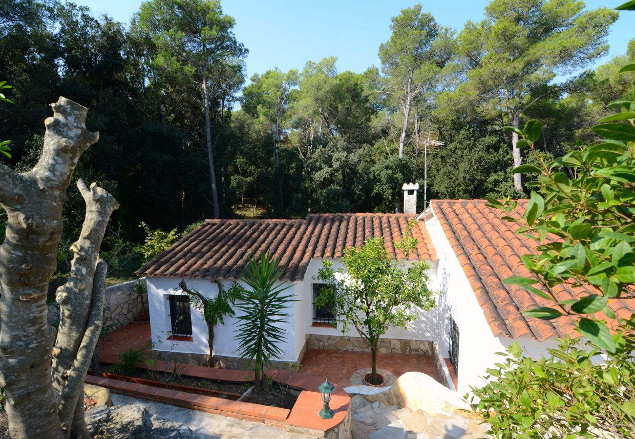 Villa in Pals - MAS TOMASI 525 A