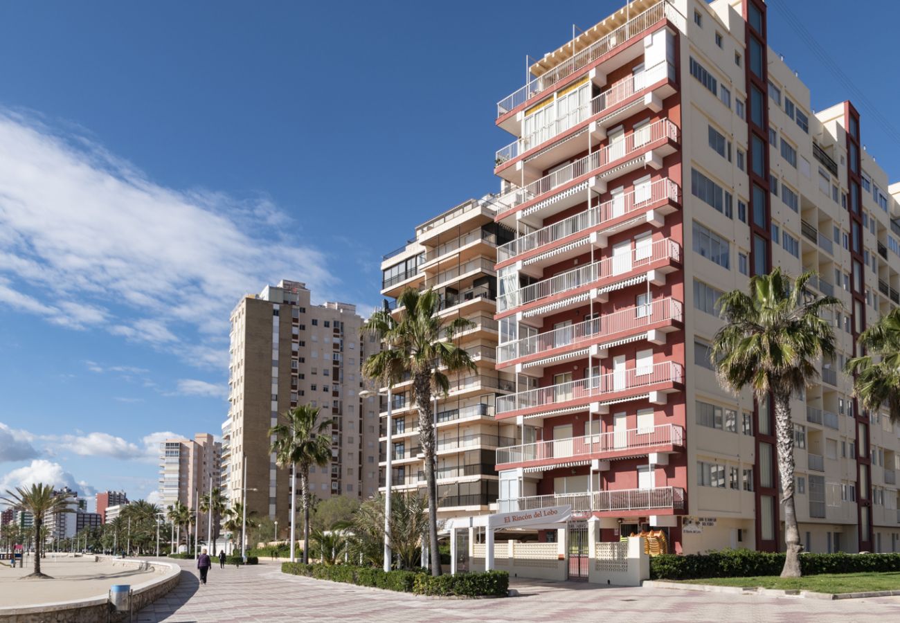 Apartment in Cullera - EL RACO, C-8º-16