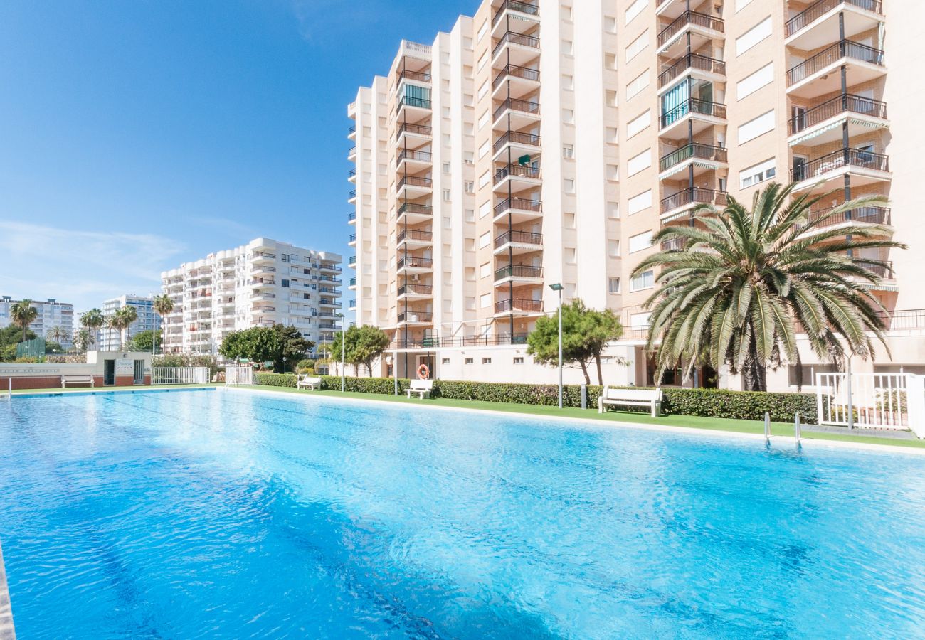 Apartment in Playa de Gandía - 46. AG PRESIDENTE 3A-3