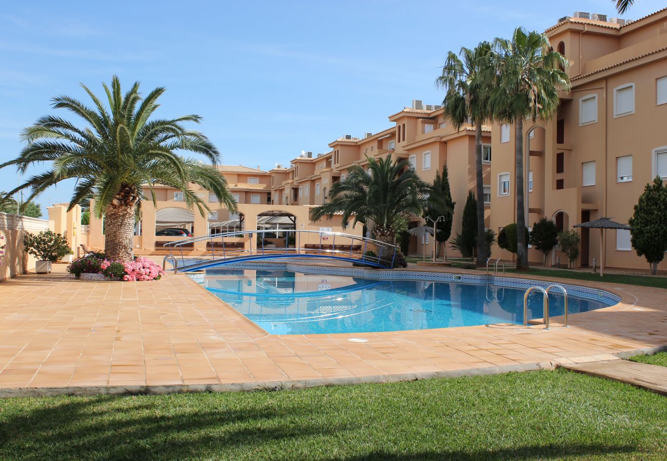 Apartment in Denia - 187 Palm Beach, 72