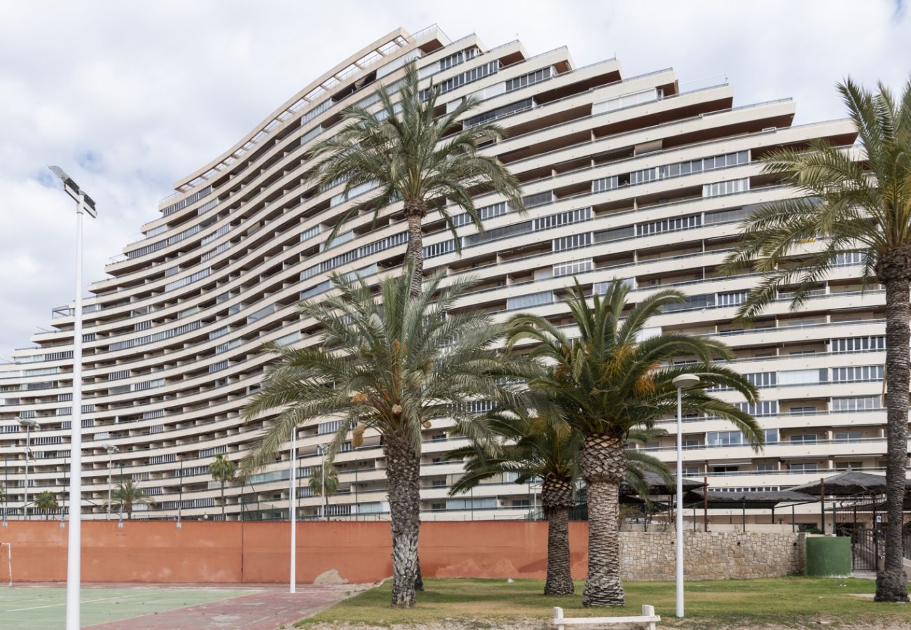 Apartment in Cullera - FLORAZAR 2, IV-14-C