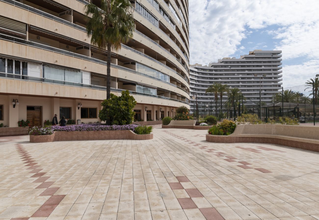 Apartment in Cullera - FLORAZAR 2, IV-14-C