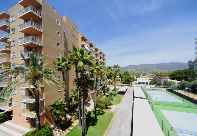 Benicàssim - Apartment