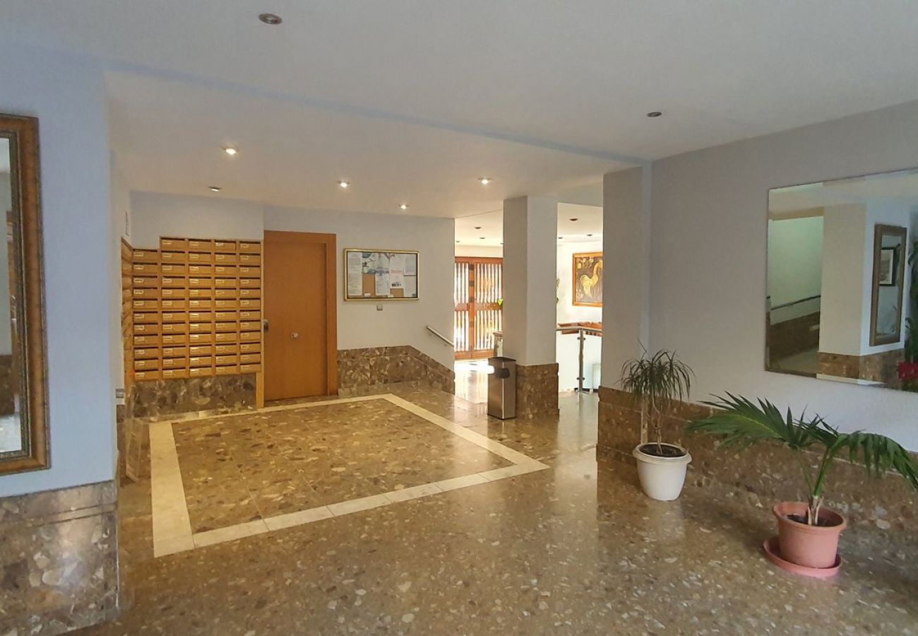 Apartment in Benidorm - COBLANCA 20 13-3