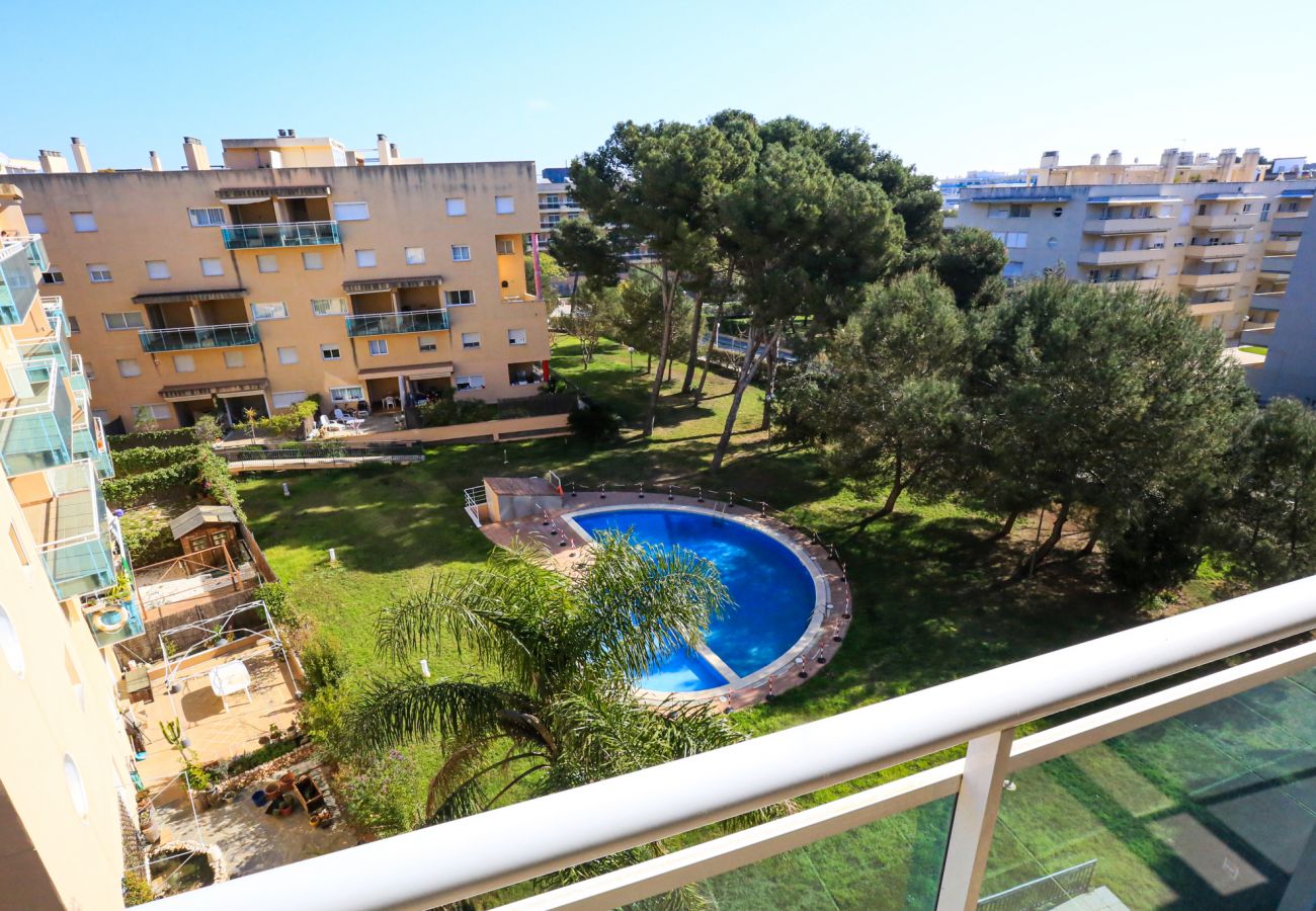 Apartment in La Pineda - GOLDEN PINEDA C 4 A