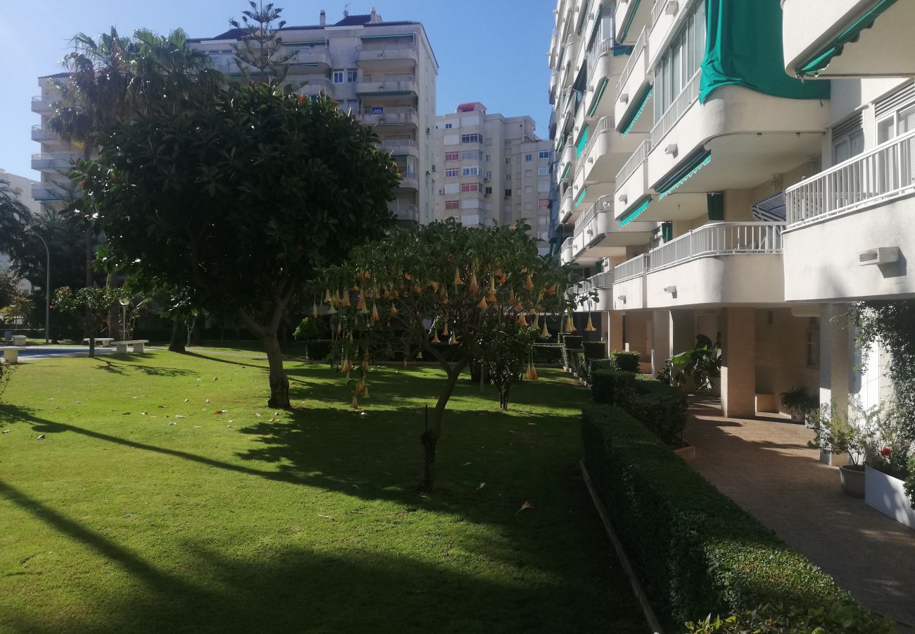 Apartment in Playa de Gandía - 1.Parque IV esc. 1 1º pta 1