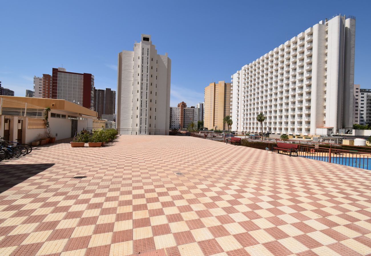 Studio in Benidorm - ACUARIUM 3 2F (ESTUDIO)