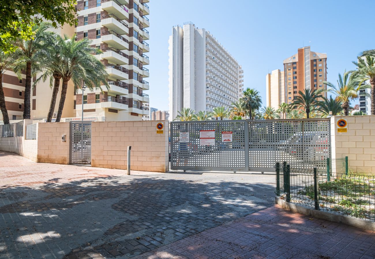 Studio in Benidorm - ACUARIUM 3 2F (ESTUDIO)