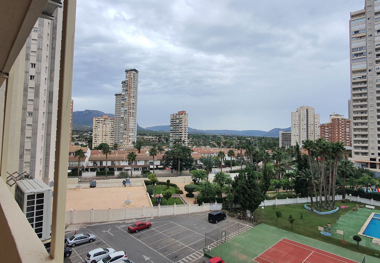 Apartment in Benidorm - MARISCAL 3 4J (2 DORMITORIOS)