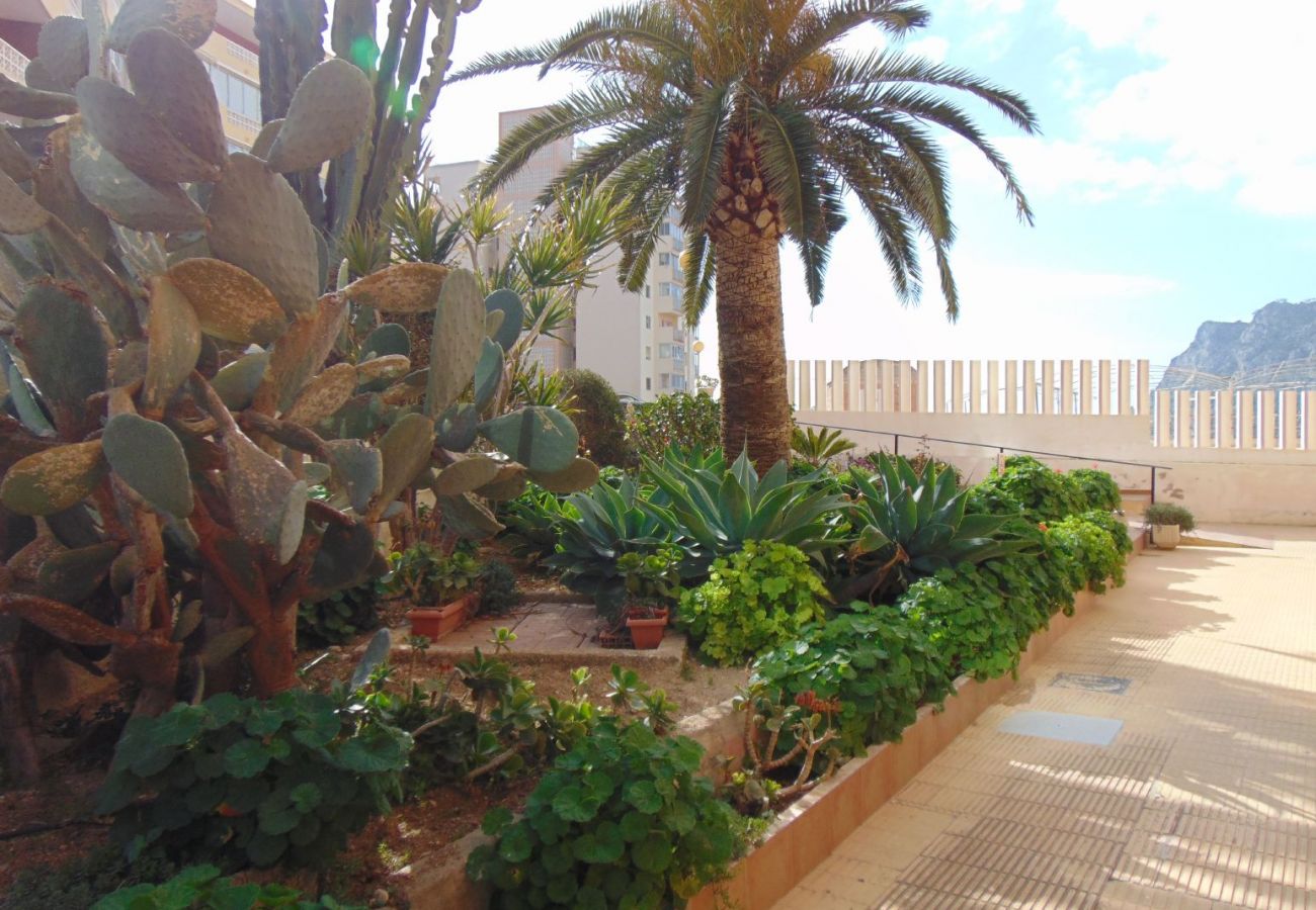 Apartment in Calpe / Calp - AT204 PRESIDENT