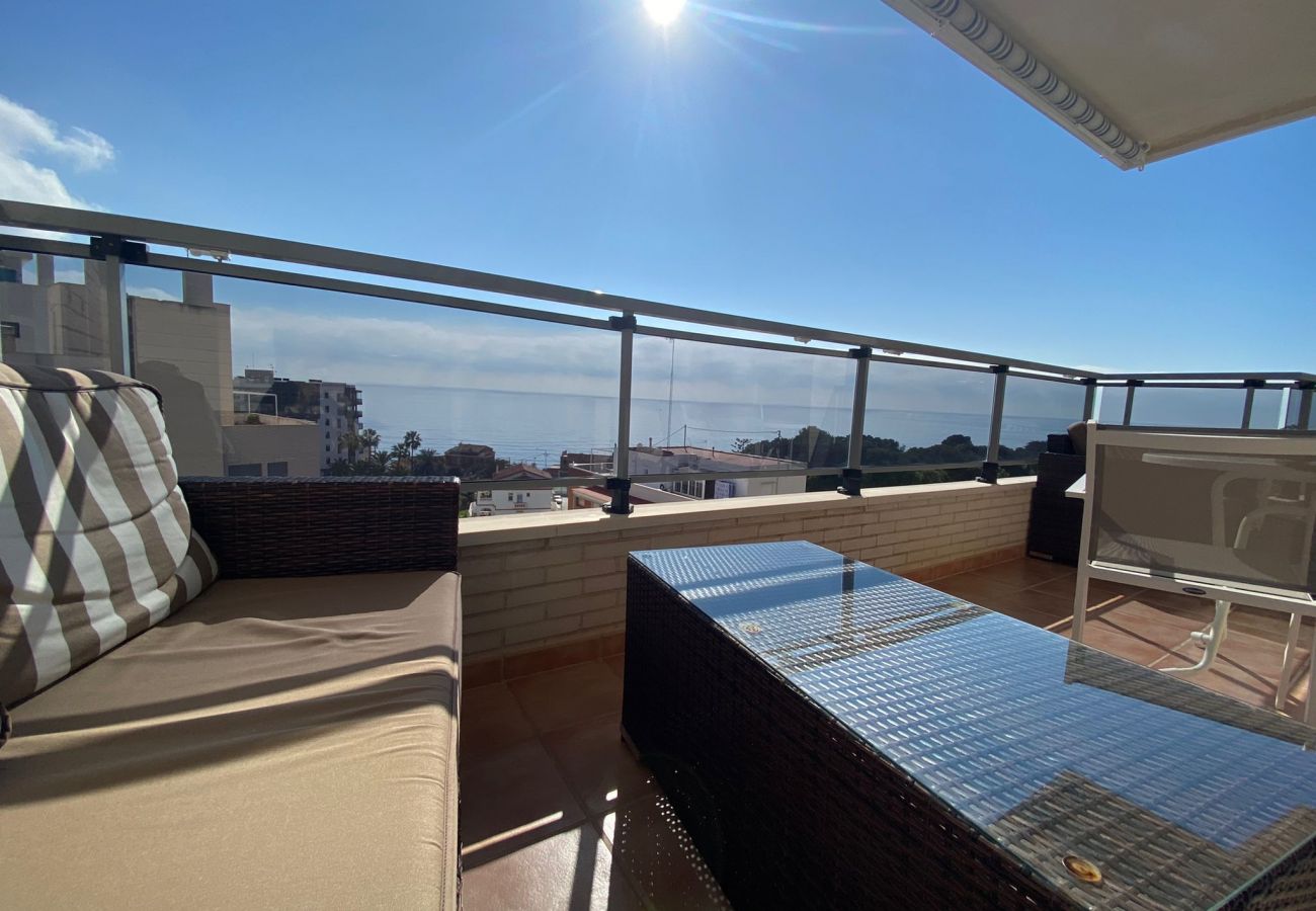 Apartment in Calpe / Calp - AT162 PLAZA MAYOR