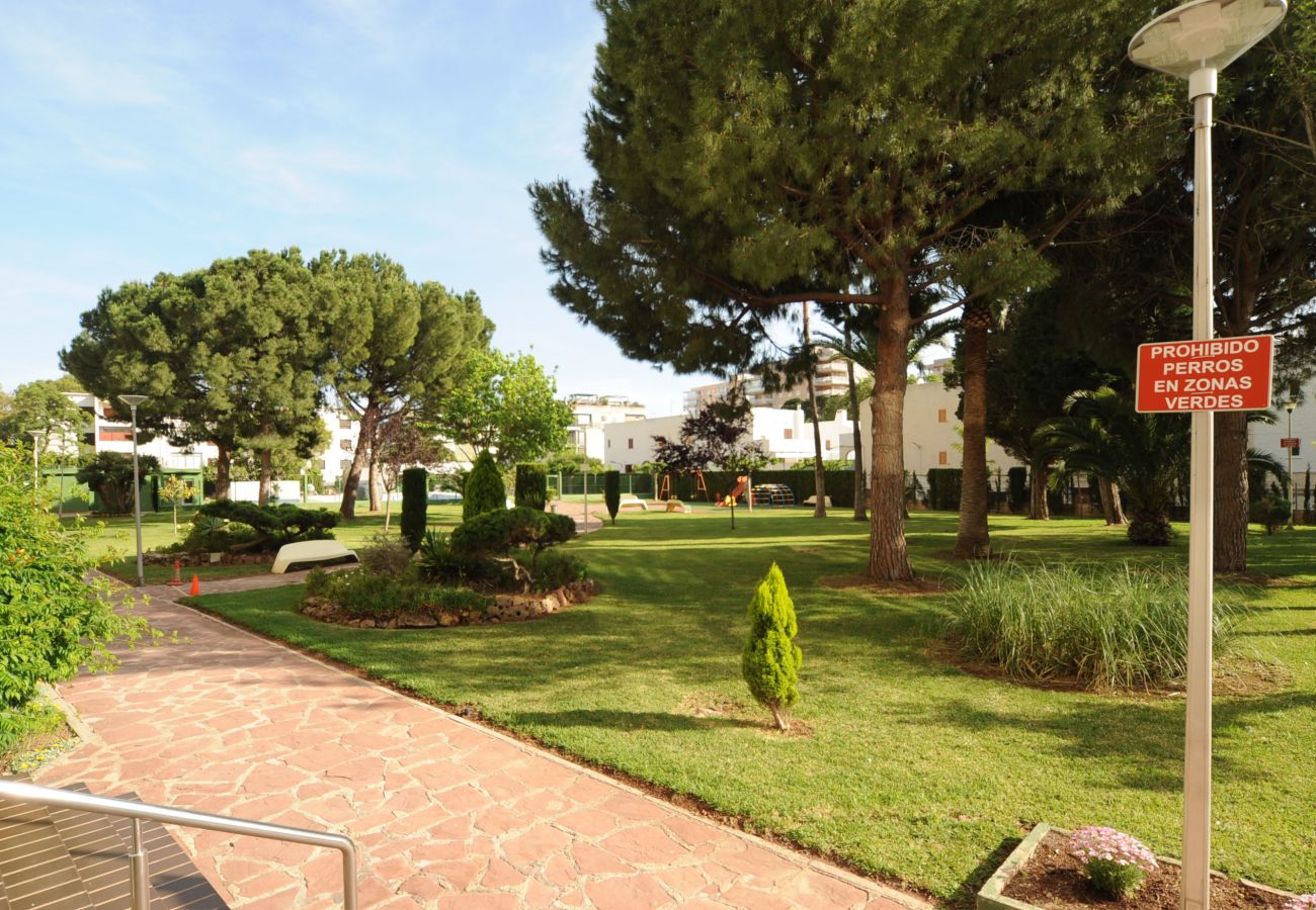 Apartment in Benicàssim - AMANECER II-15-B