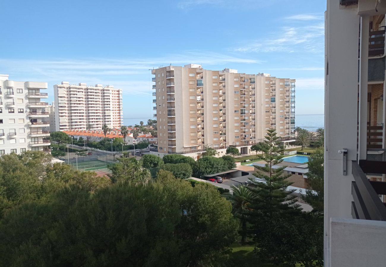 Studio in Playa de Gandía - 1.Tres Delfines 4ºC