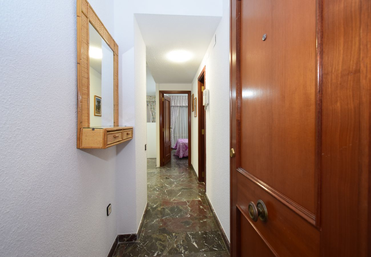 Apartment in Benidorm - BENIBEACH   3-1B