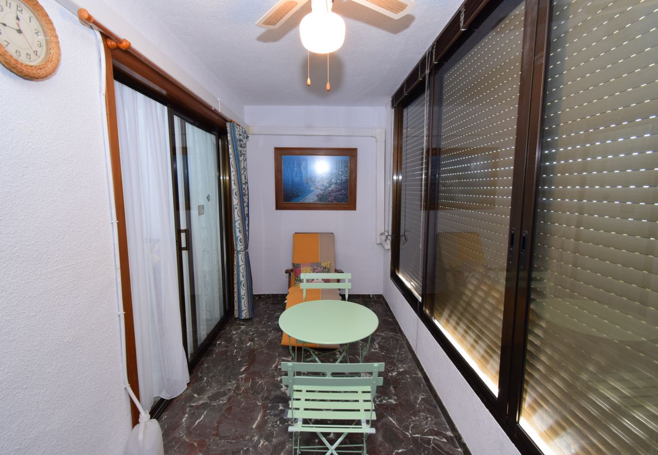 Apartment in Benidorm - BENIBEACH   3-1B