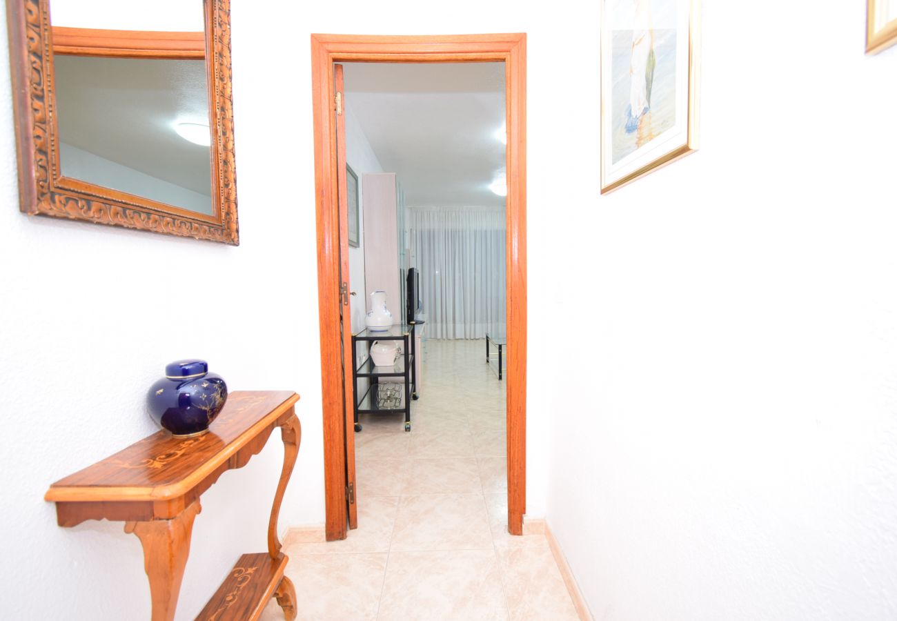 Apartment in Benidorm - LIDERSOL 11F2