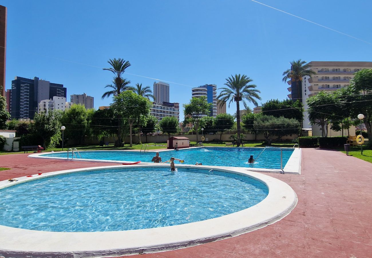 Apartment in Benidorm - LIDERSOL 11F2