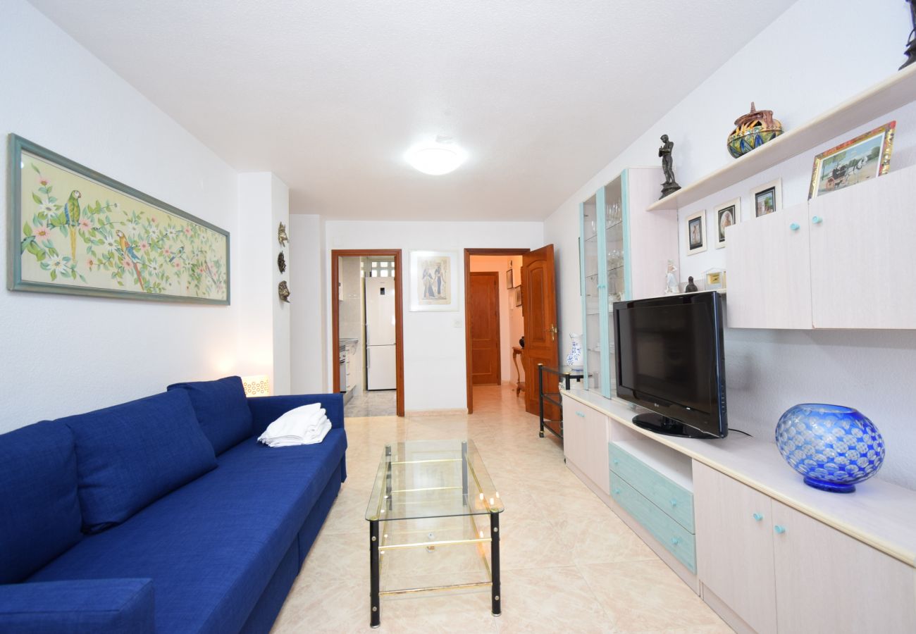 Apartment in Benidorm - LIDERSOL 11F2