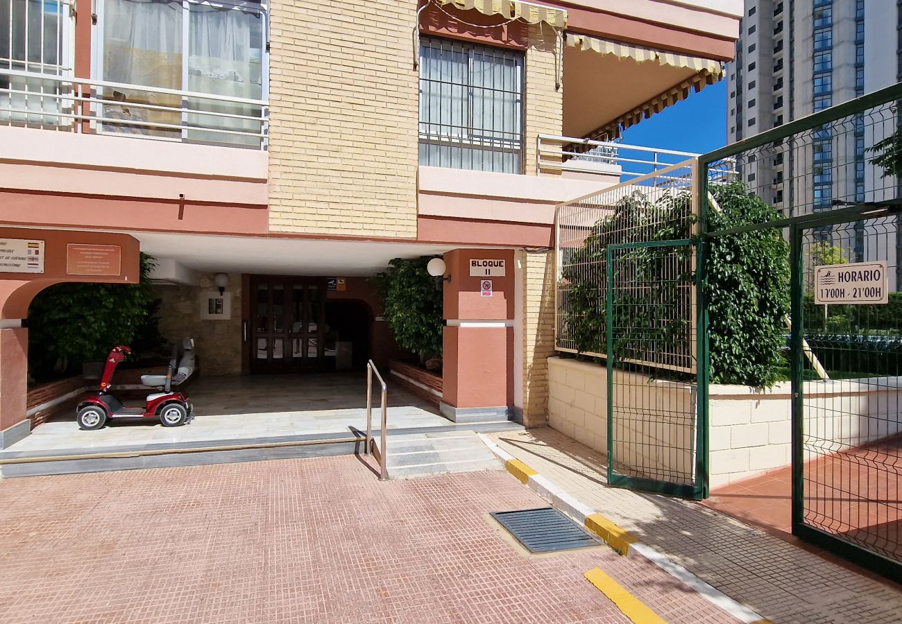 Apartment in Benidorm - LIDERSOL 11F2