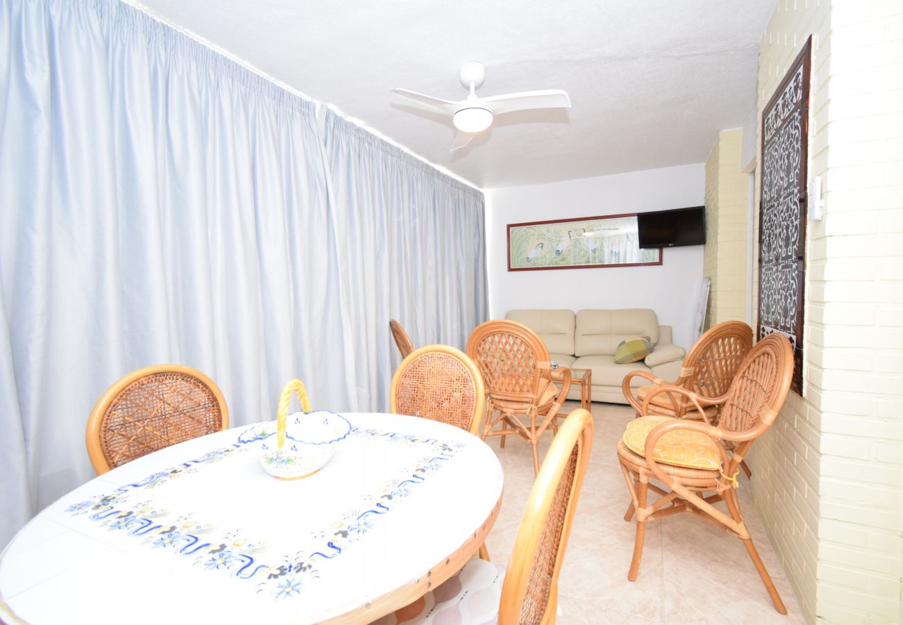 Apartment in Benidorm - LIDERSOL 11F2