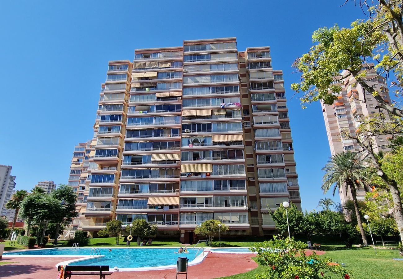 Apartment in Benidorm - LIDERSOL 11F2