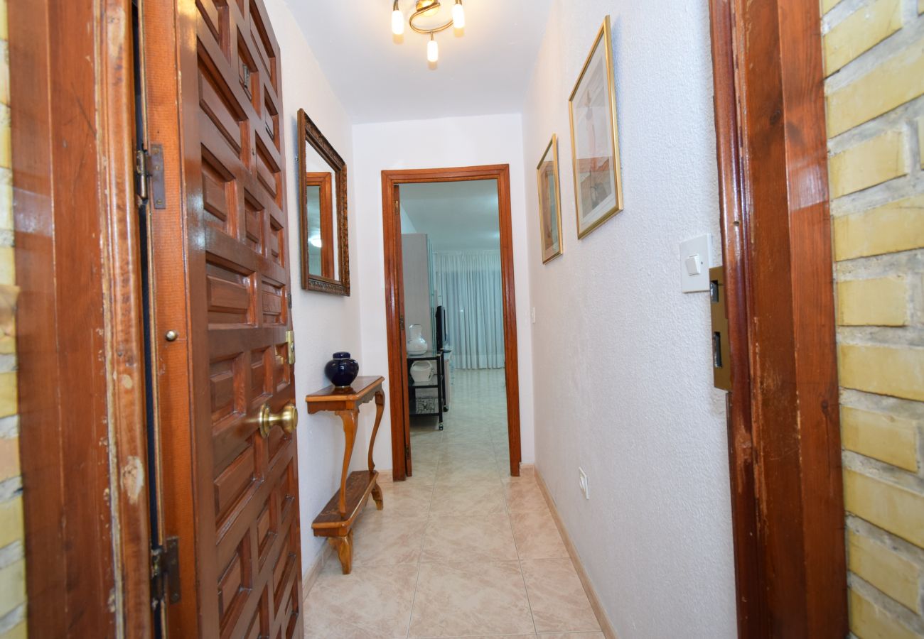 Apartment in Benidorm - LIDERSOL 11F2