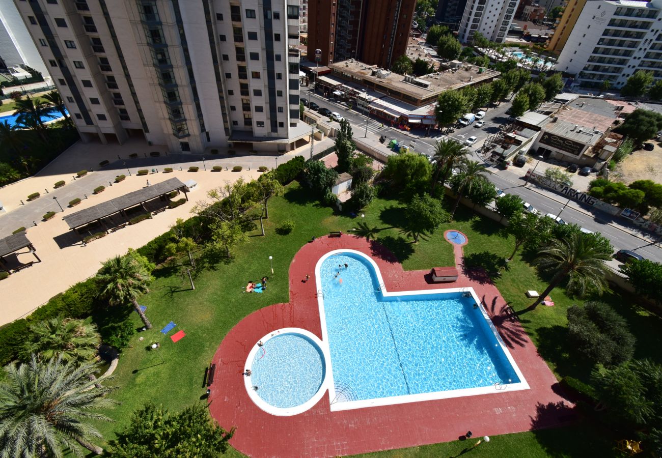 Apartment in Benidorm - LIDERSOL 11F2