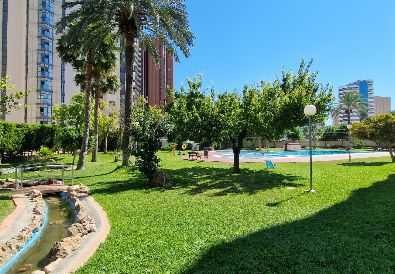 Apartment in Benidorm - LIDERSOL 11F2