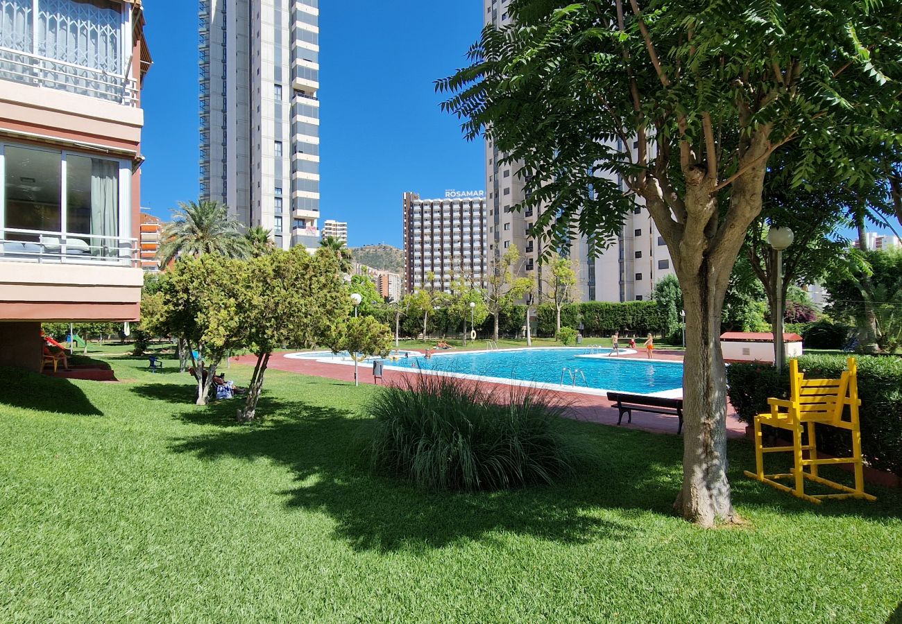 Apartment in Benidorm - LIDERSOL 11F2