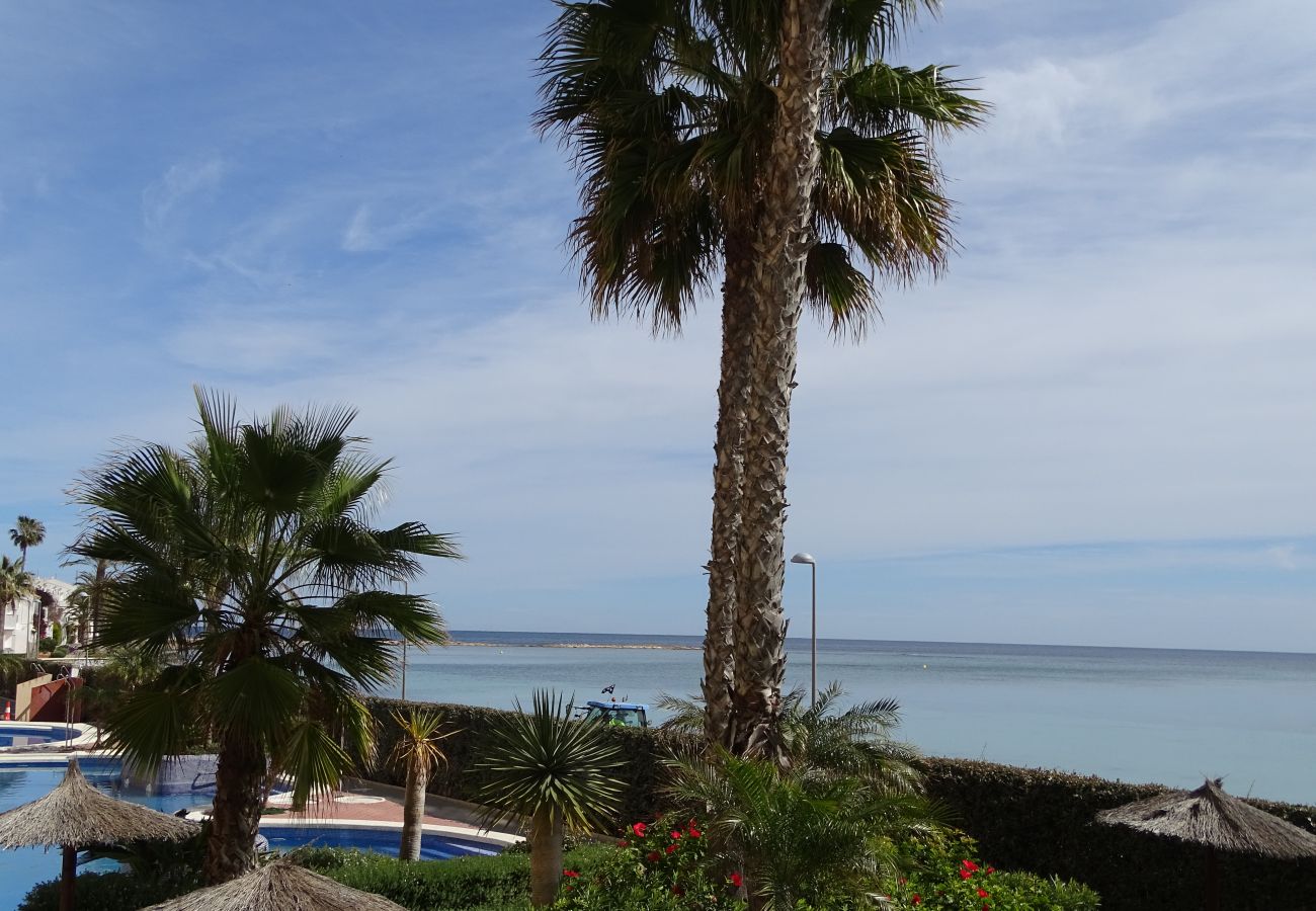 Apartment in La Manga del Mar Menor - P.Cormorán1-1-6-1 Admer