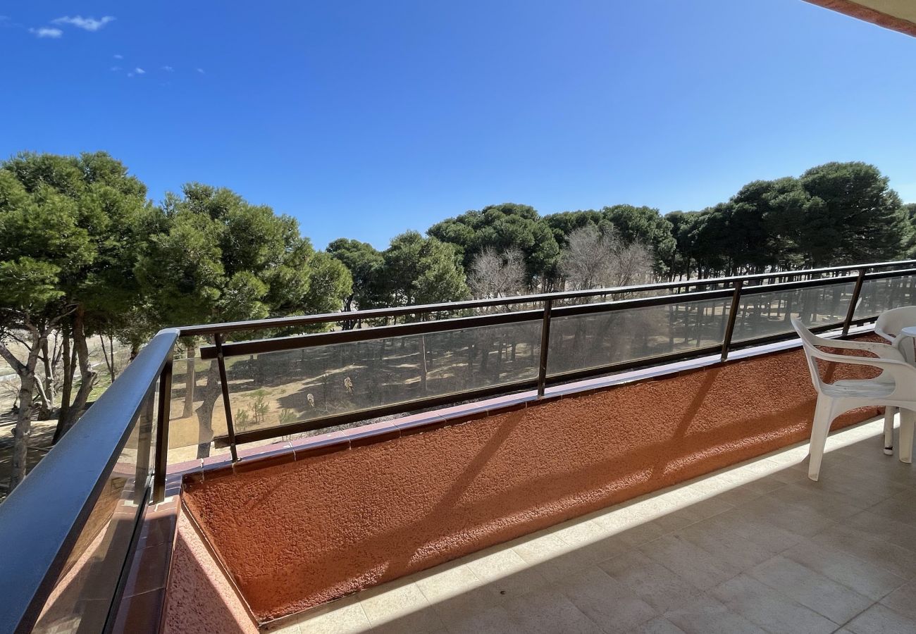 Apartment in Estartit - SALLES BEACH 33