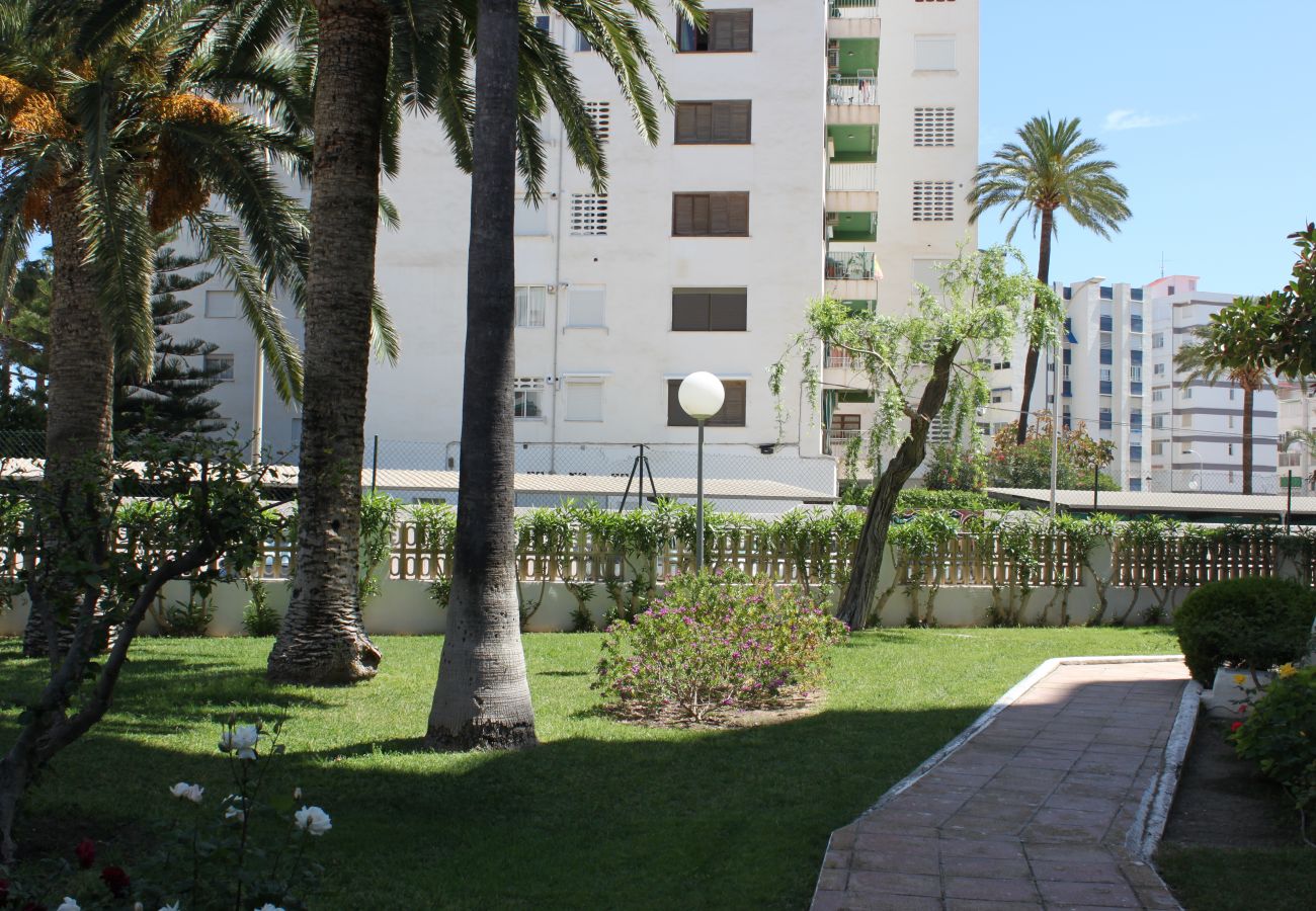 Apartment in Playa de Gandía - 1.Flamingo 1º pta 7 C