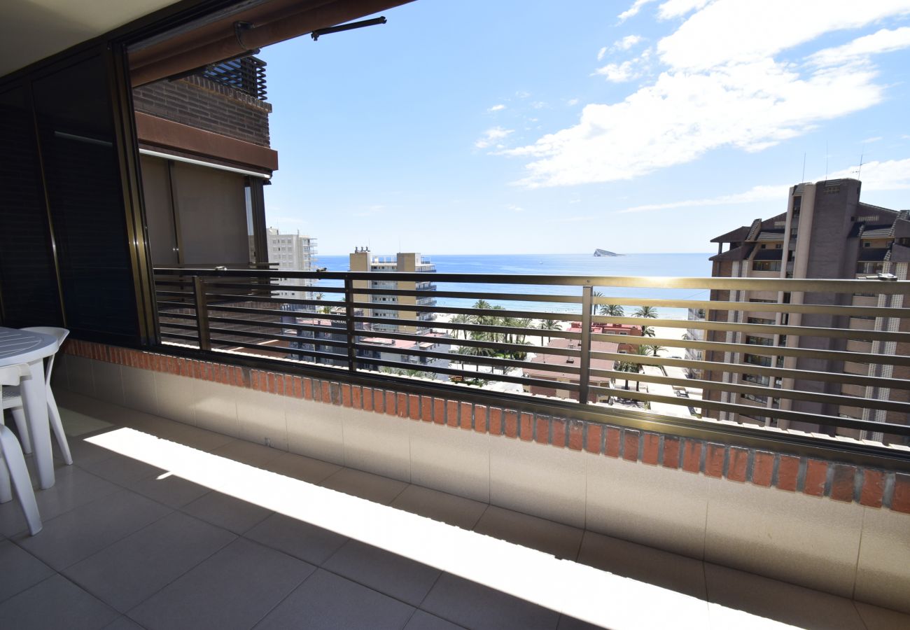 Apartment in Benidorm - CASTELMAR 8A