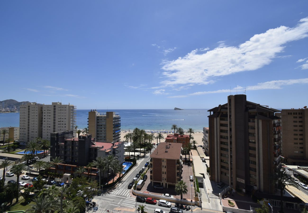 Apartment in Benidorm - CASTELMAR 8A