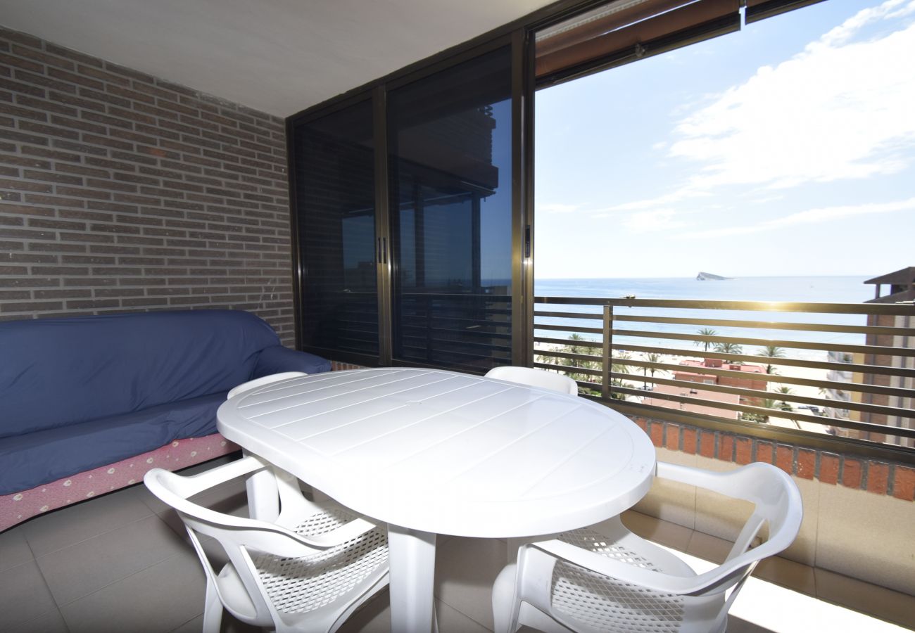 Apartment in Benidorm - CASTELMAR 8A