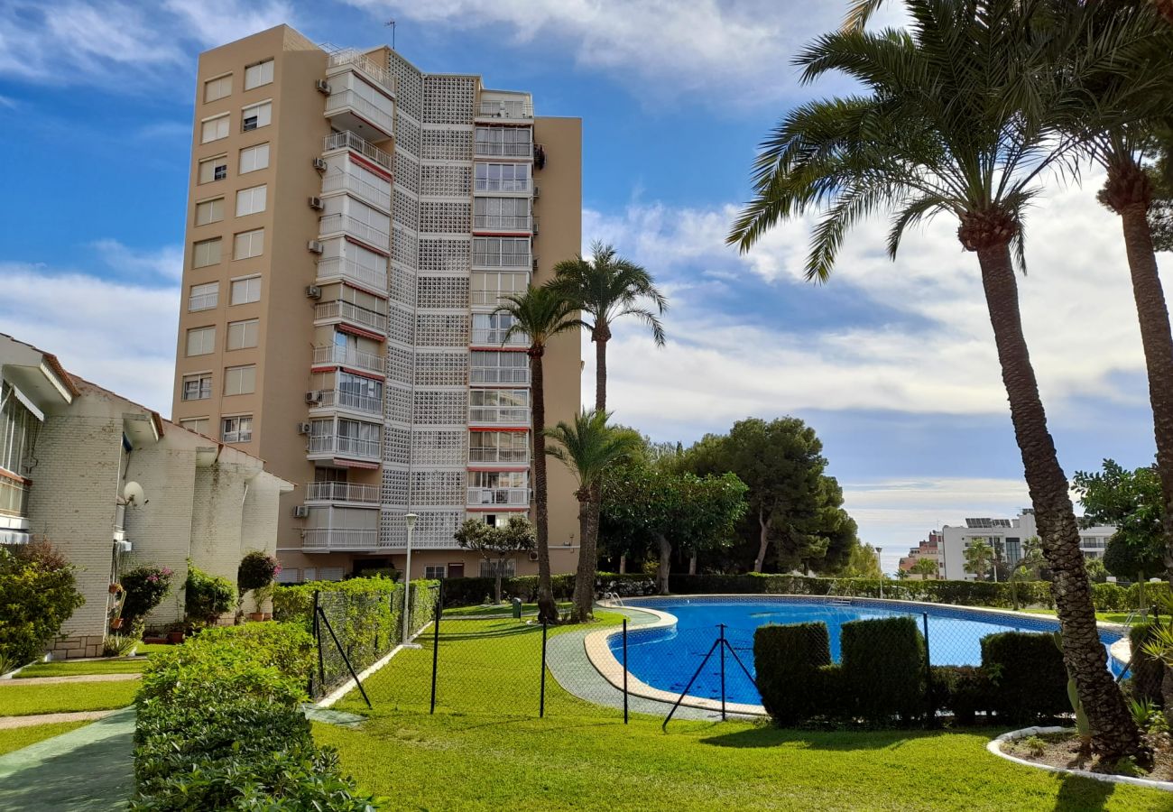 Apartment in Benidorm - URBANIZACION MIRAMAR 1057