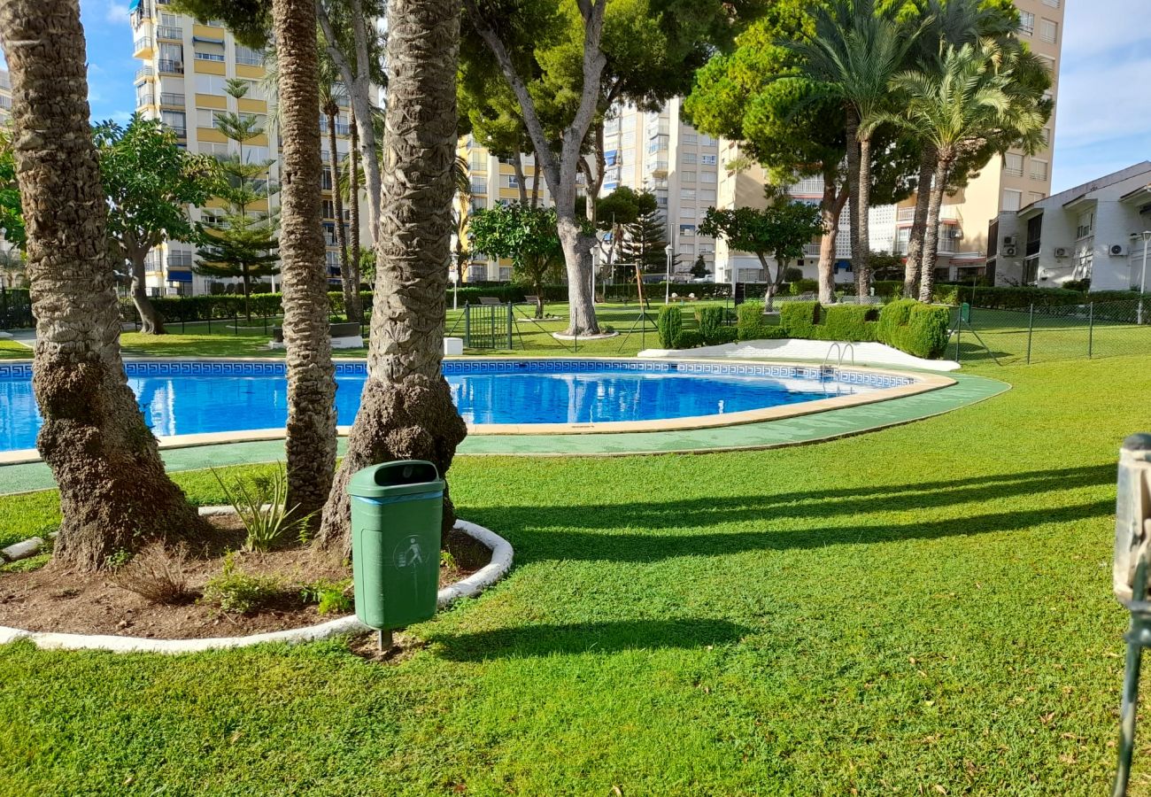 Apartment in Benidorm - URBANIZACION MIRAMAR 1057