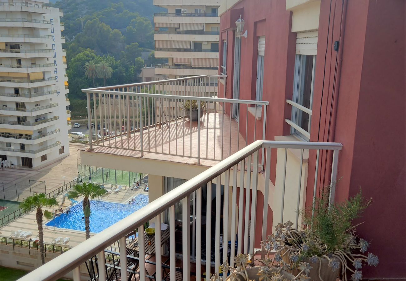 Apartment in Cullera - EL RACO, C-9º-17