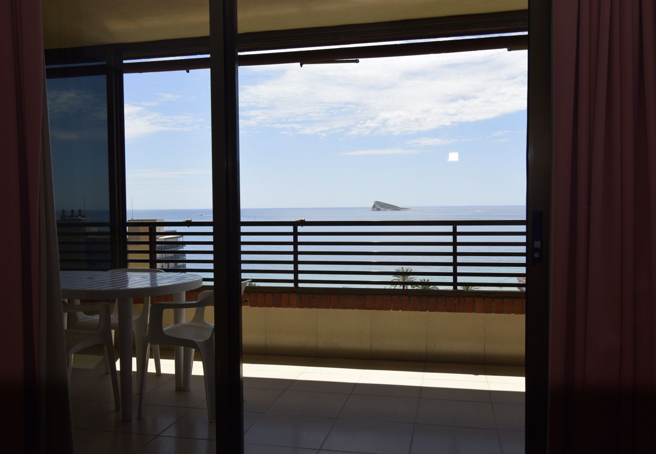 Apartment in Benidorm - CASTELMAR 8B