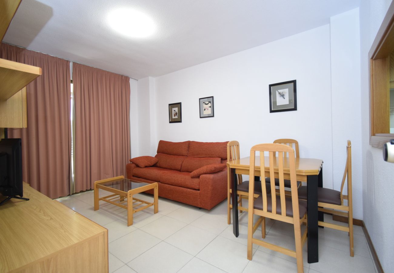 Apartment in Benidorm - CASTELMAR 8B