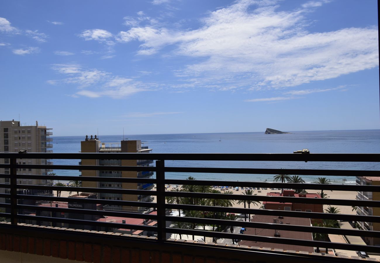 Apartment in Benidorm - CASTELMAR 8B