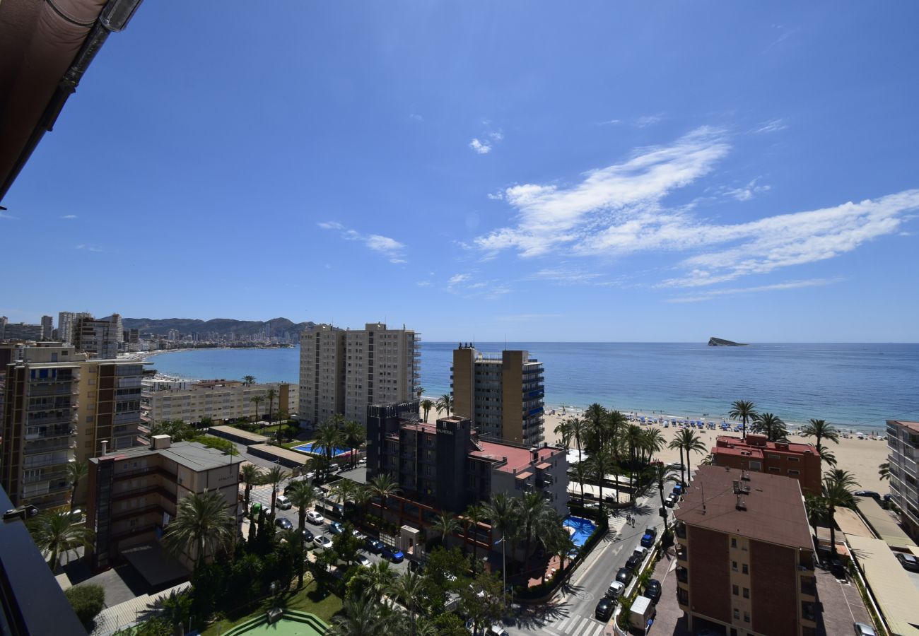 Apartment in Benidorm - CASTELMAR 8B