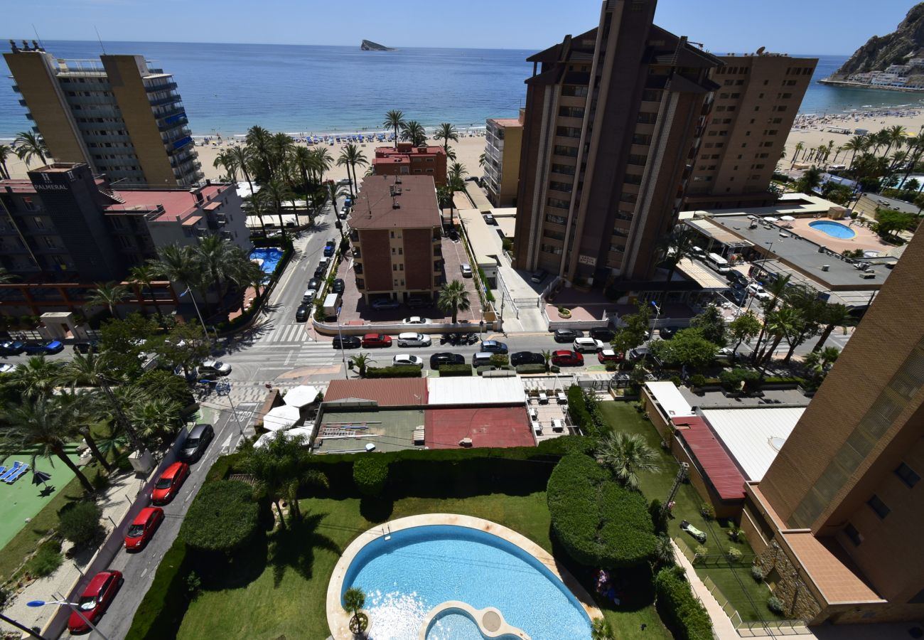 Apartment in Benidorm - CASTELMAR 8B