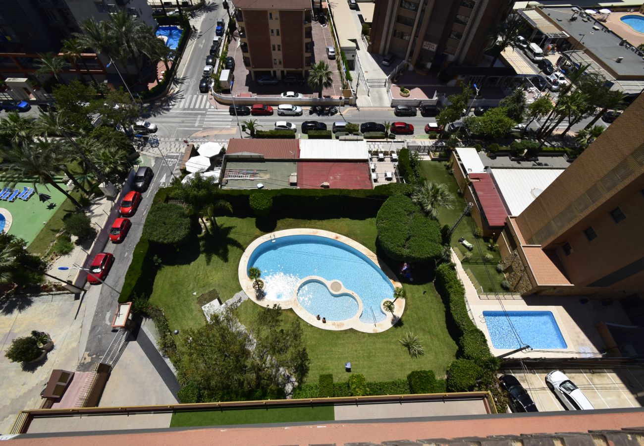 Apartment in Benidorm - CASTELMAR 8B