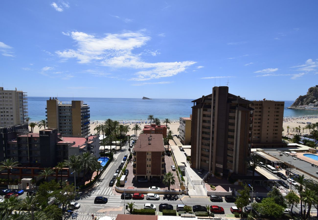 Apartment in Benidorm - CASTELMAR 8B