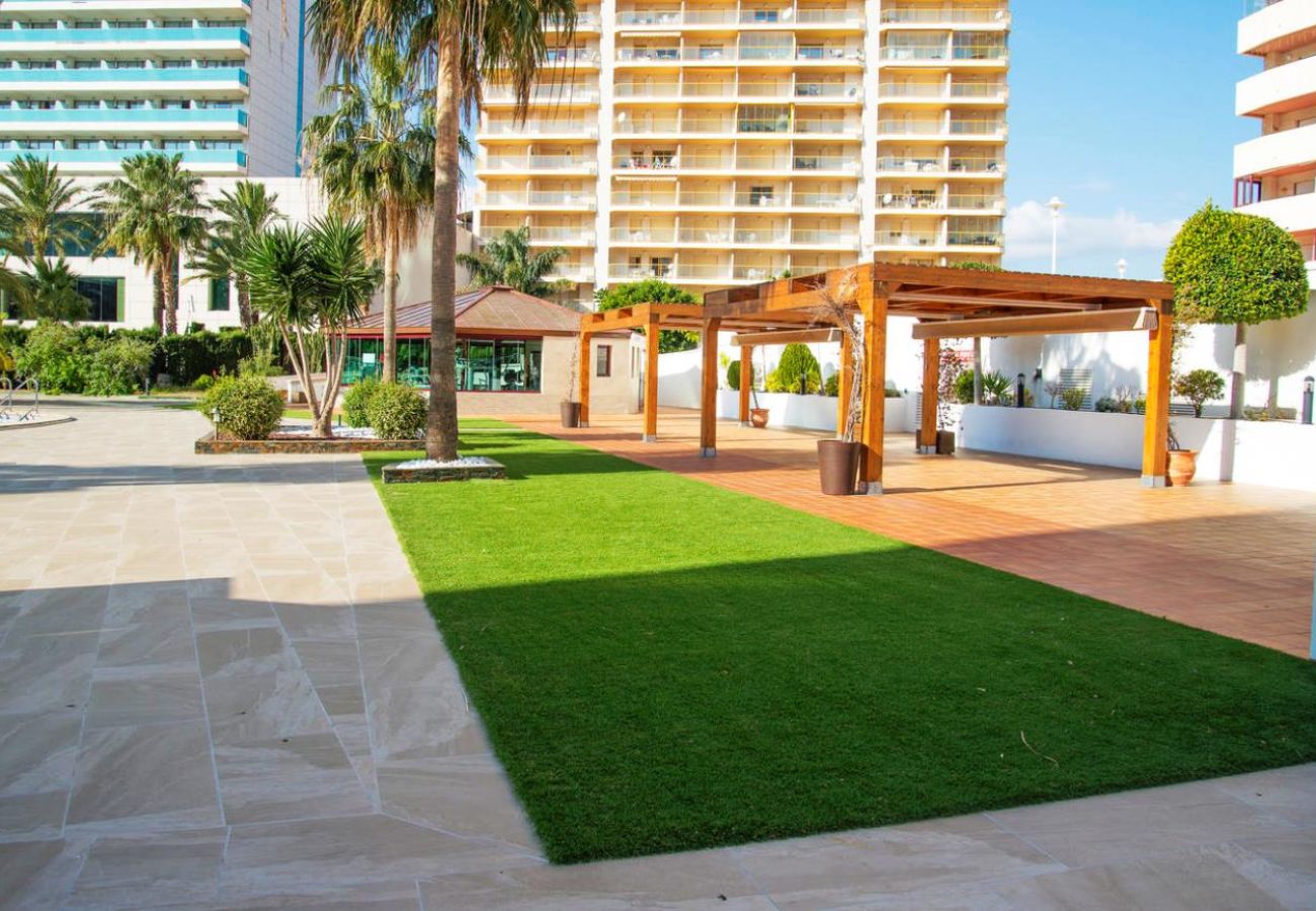 Apartment in Calpe / Calp - CORAL BEACH 2012D